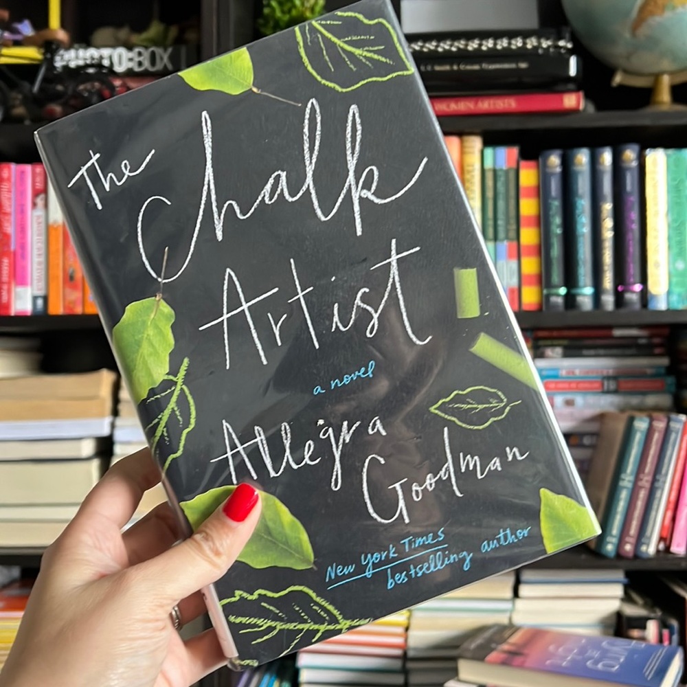 The Chalk Artist by Allegra Goodman VGUC